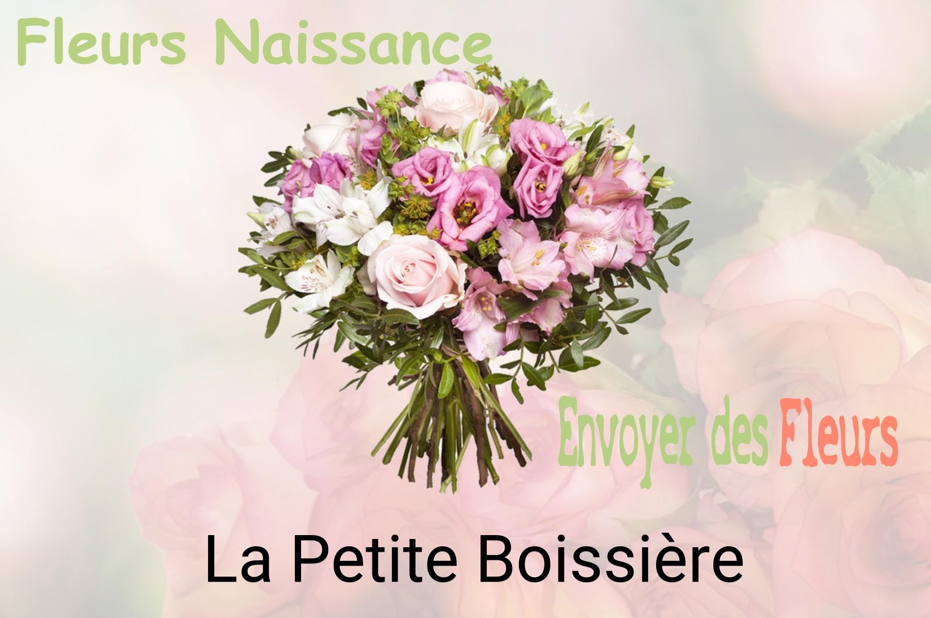 Bouquet de fleurs de naissance livré à La Petite-Boissière